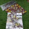 Murashe by Evergreen Mart